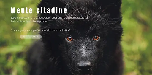 Meute Citadine Éducateur/comportementaliste Canin