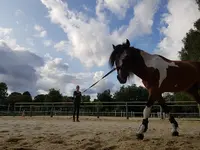 Haras du Croc Marin
