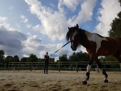 Haras du Croc Marin