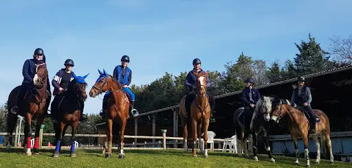 Les Ecuries Anthony Chemin - Eac Jumping