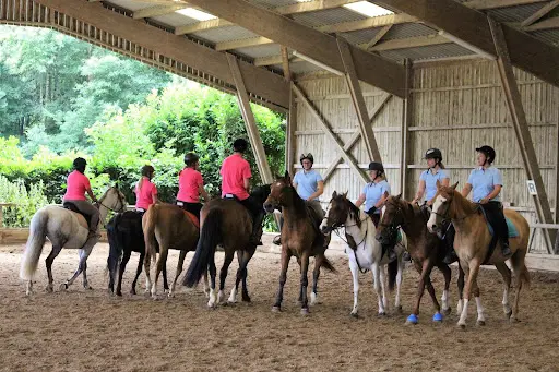 Poney Club de la Pierre Grise