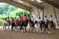 Poney Club de la Pierre Grise