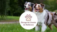 Elevage du Chemin de Mathenou