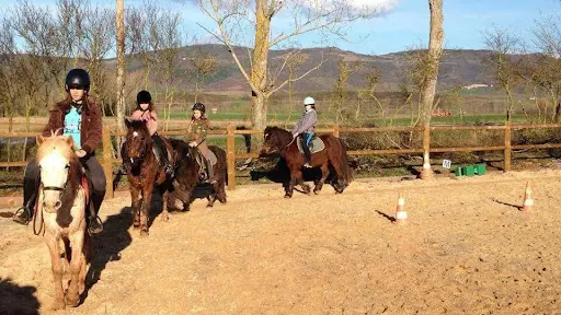 Les Poneys de Patchanka