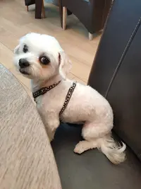A la Chouchouterie