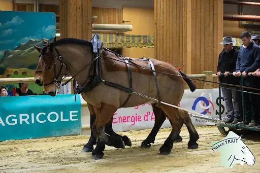 Ferme Équestre la Bredaine
