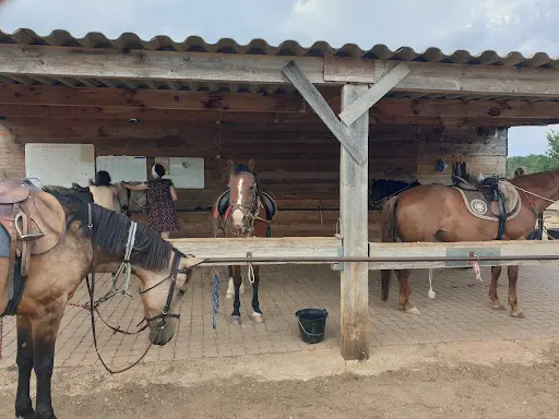 Centre Equestre de Montmeyan