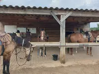 Centre Equestre de Montmeyan