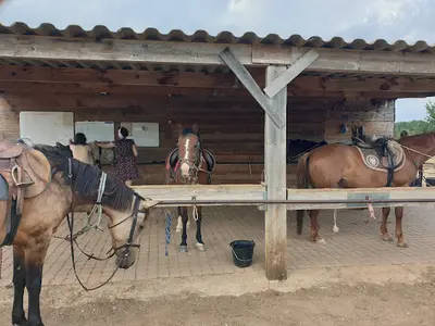 Centre Equestre de Montmeyan
