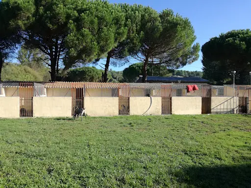 Centre Canin de Montolieu
