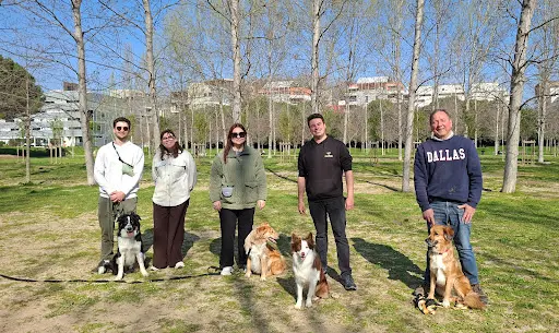 Canilogy - Éducateur et Comportementaliste Canin - Montpellier et Alentours