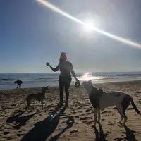 Doyoudog - Éducateur-comportementaliste Canin Montpellier