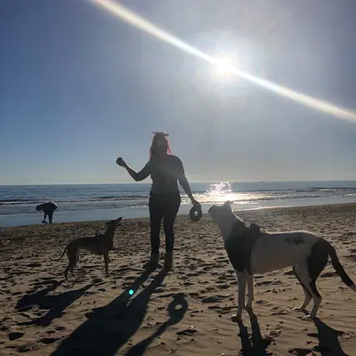 Doyoudog - Éducateur-comportementaliste Canin Montpellier