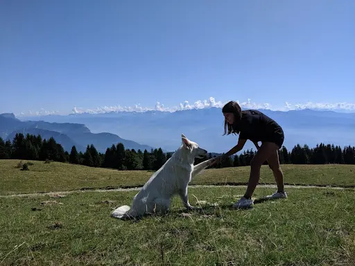 Le Temps du Chien - Education Canine et Comportement