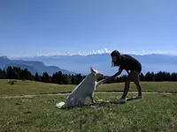 Le Temps du Chien - Education Canine et Comportement