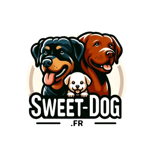 Sweet Dog - Educateur Canin À Montpellier​