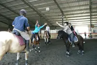 Association Loisirs Equestres en Région Toulousaine