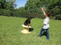 Parler Chien Educateur Comportementaliste Canin