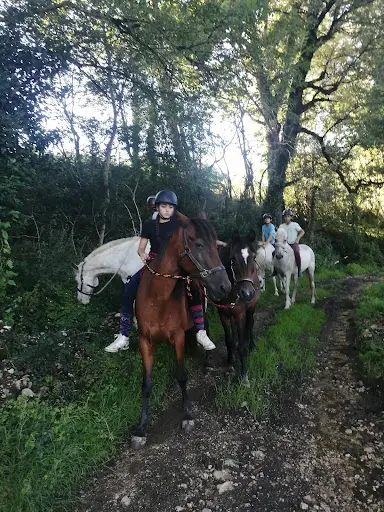 Etrier Montredonnais