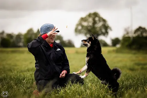 Rebel Dogs Academy