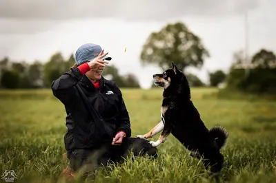 Rebel Dogs Academy