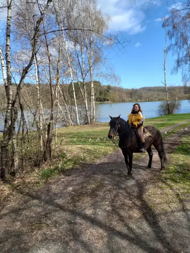 Sasu Equiberique Equitation