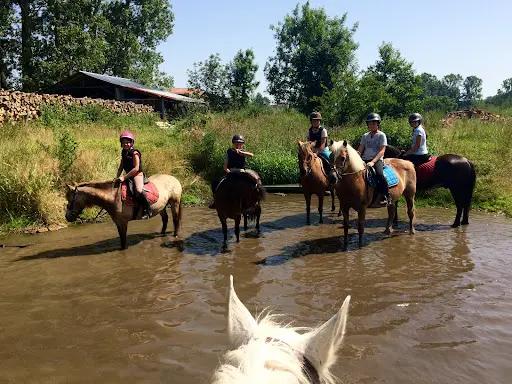 Les Écuries Hopla Geiss Poney Club