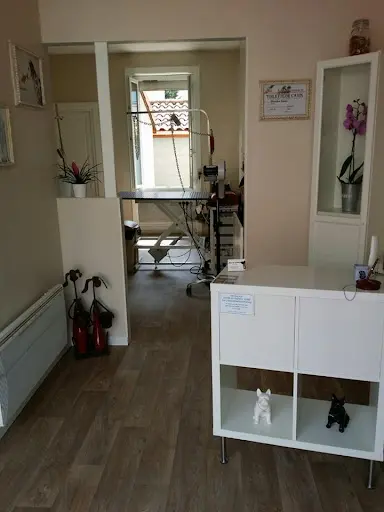 Brin de Toilette