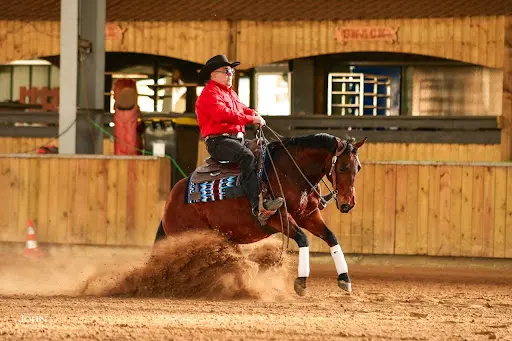 American Horse Riding Academy