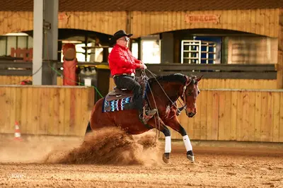 American Horse Riding Academy