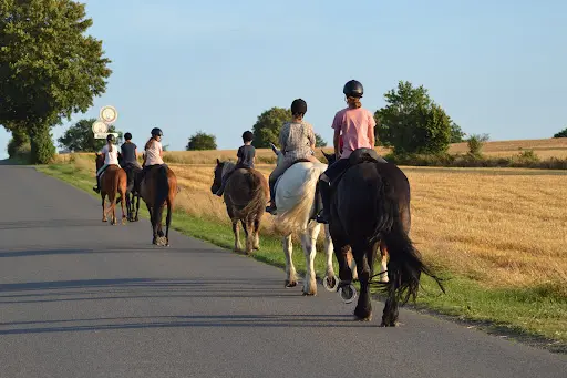 Loisirs Equestres