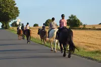 Loisirs Equestres