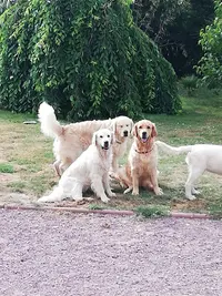 Le Trésor des Marais
