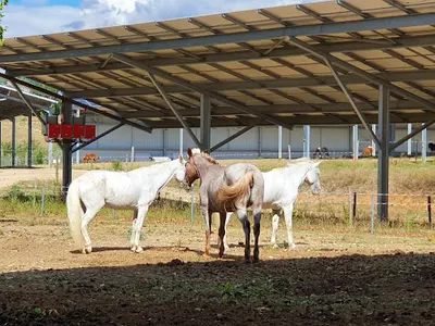 Domaine Equestre des Pialoux