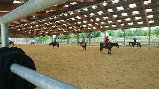 Horseacademy