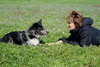 Chien Emoi