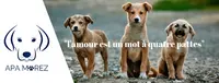 Apa Morez