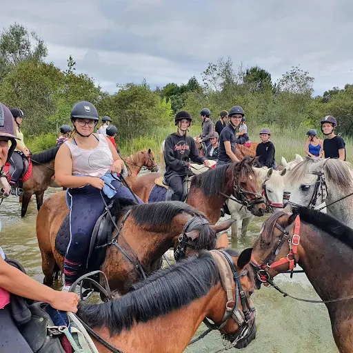 Balade À Cheval Arjuzanx