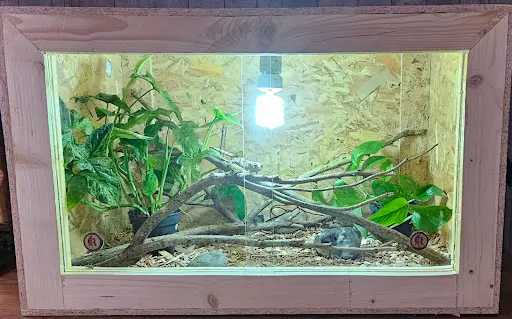 Reptiland 02