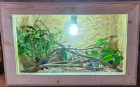 Reptiland 02