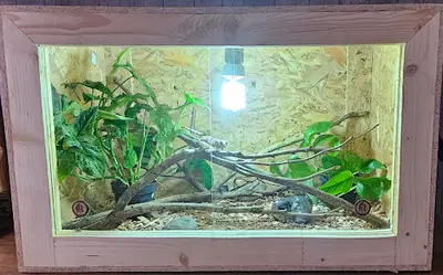 Reptiland 02