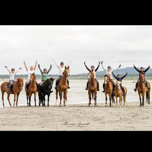 Rive Sporthorses