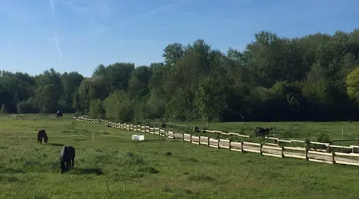 Les Écuries du Cèdre