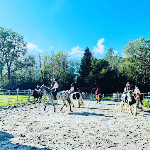 Equita Passion