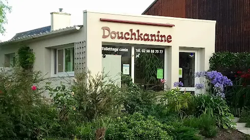 Douchkanine