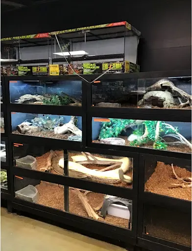 Native Exotics Europe