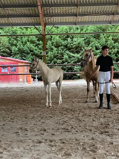Haras d'Oxley