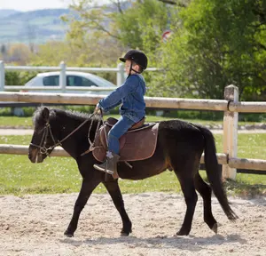 Poney Club de Mornant