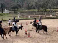 Haras de Merindol