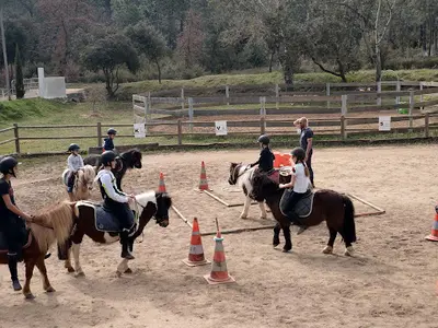 Haras de Merindol